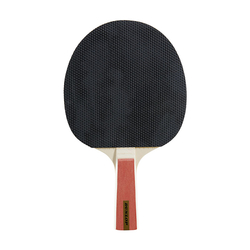 Stolní tenis pálka DUNLOP NITRO